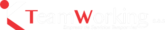 Logo de Team Working